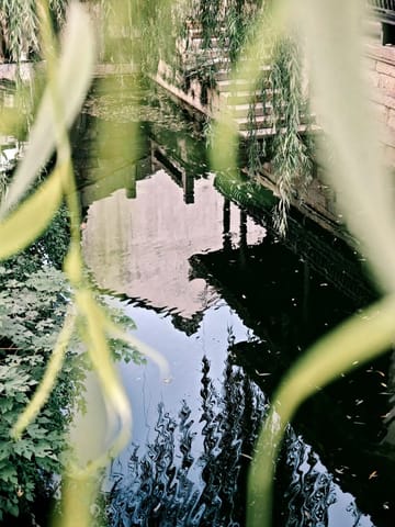 照片