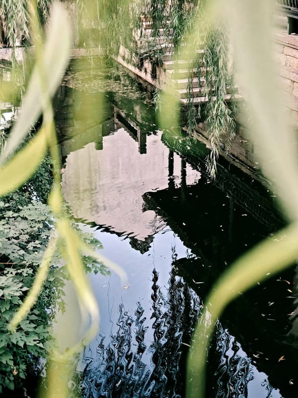 照片