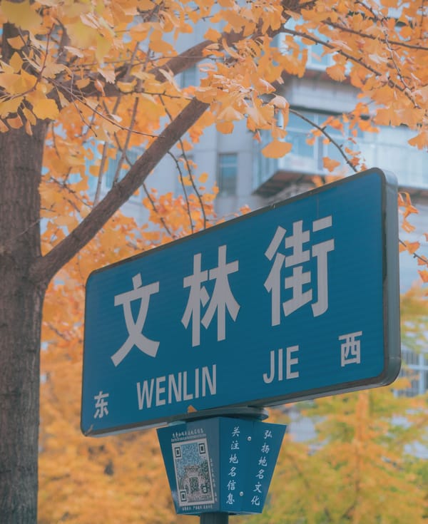 照片